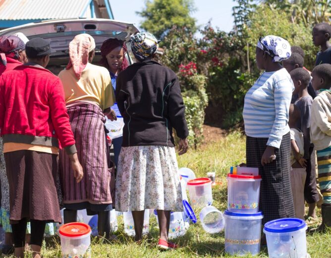 Consommer mieux en Guinée : la montée en puissance des produits de qualité importés